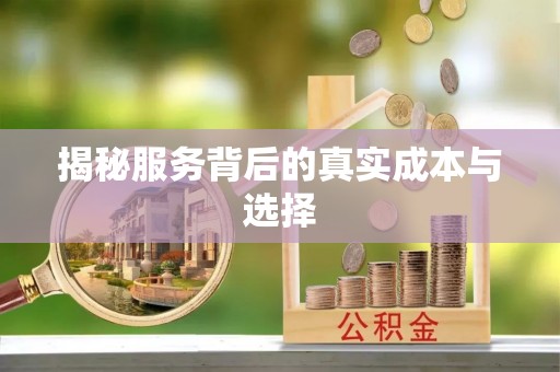 平邑揭秘服务背后的真实成本与选择