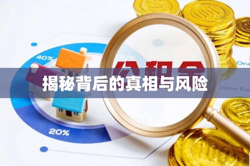 平邑揭秘背后的真相与风险