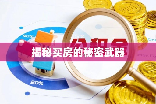平邑揭秘买房的秘密武器