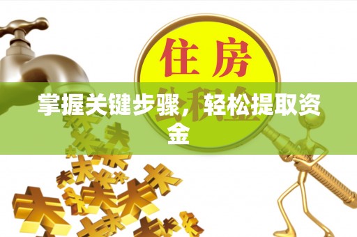 平邑掌握关键步骤，轻松提取资金