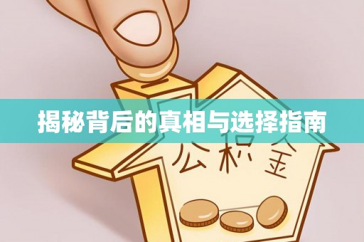 平邑揭秘背后的真相与选择指南