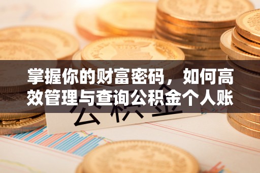 平邑掌握你的财富密码，如何高效管理与查询公积金个人账户信息