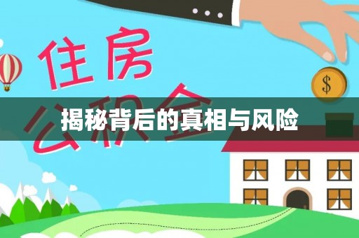平邑揭秘背后的真相与风险