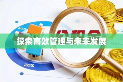 平邑探索高效管理与未来发展
