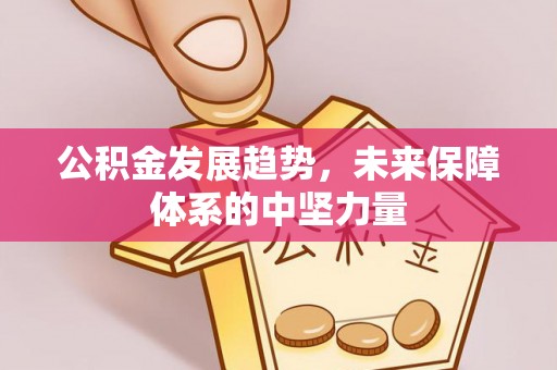 平邑公积金发展趋势，未来保障体系的中坚力量