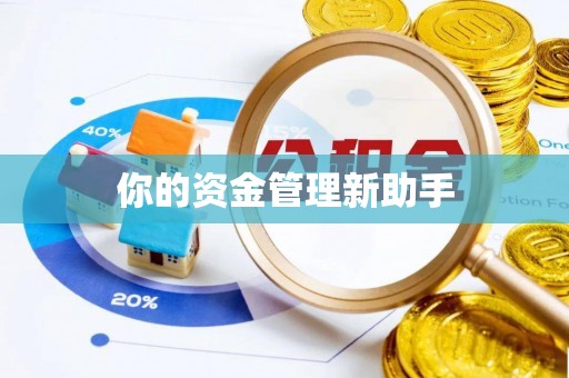 平邑你的资金管理新助手