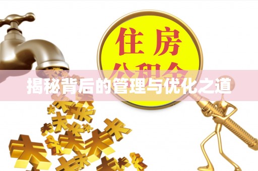 平邑揭秘背后的管理与优化之道