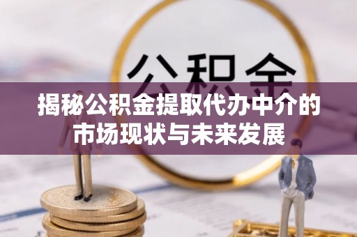 平邑揭秘公积金提取代办中介的市场现状与未来发展