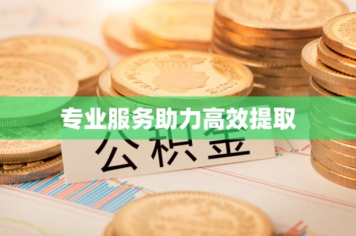 平邑专业服务助力高效提取