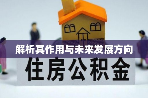 平邑解析其作用与未来发展方向