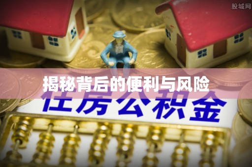 平邑揭秘背后的便利与风险