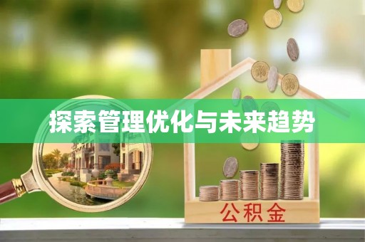 平邑探索管理优化与未来趋势